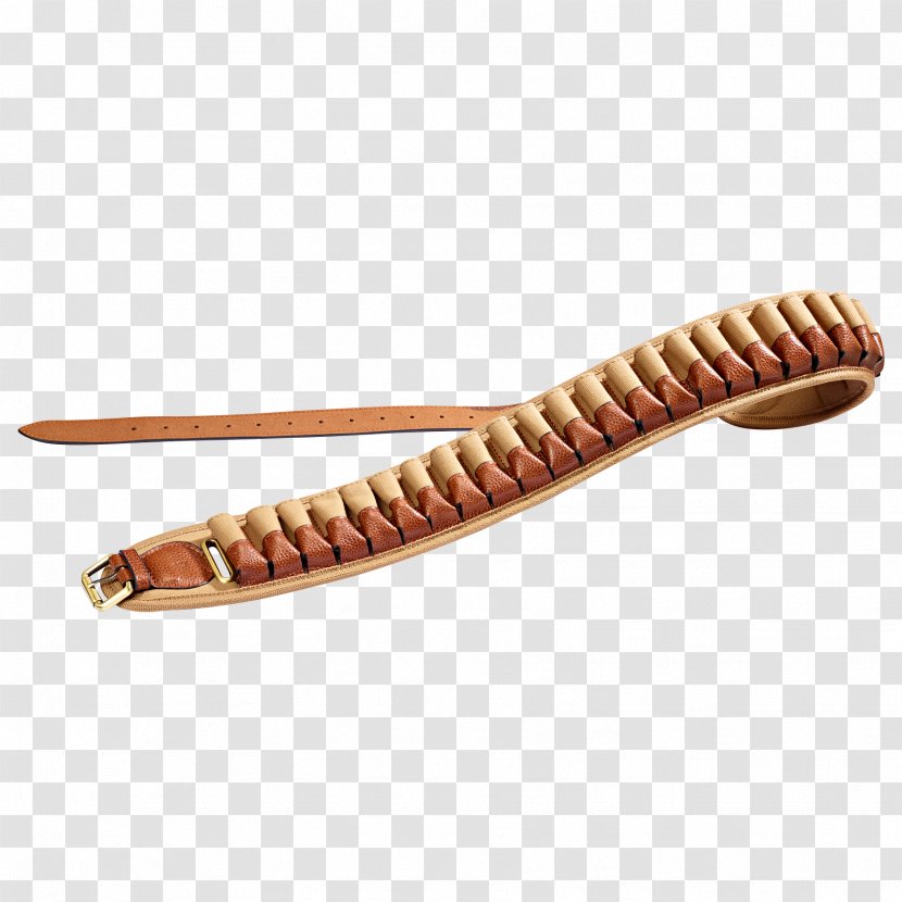 Worm Transparent PNG