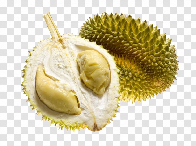 Durio Zibethinus Thai Cuisine Tropical Fruit Flavor - Durian Products In Kind Transparent PNG