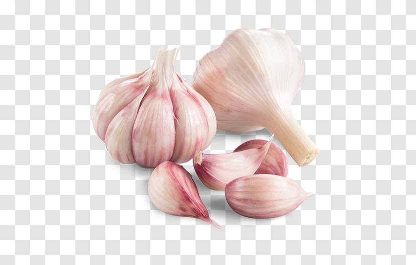 Garlic Shallot Vegetable Chives Human Papillomavirus Infection - Spice Transparent PNG