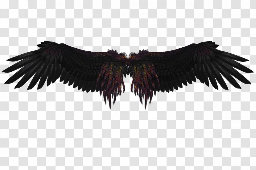 Angel - Wing - Wings Transparent PNG