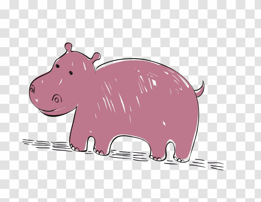 Cartoon Domestic Pig Hippopotamus - Vector Line Lovely Hippo Transparent PNG