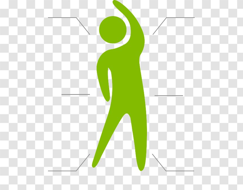 Product Clip Art Logo Human Behavior Leaf - Area - Multi Style Transparent PNG