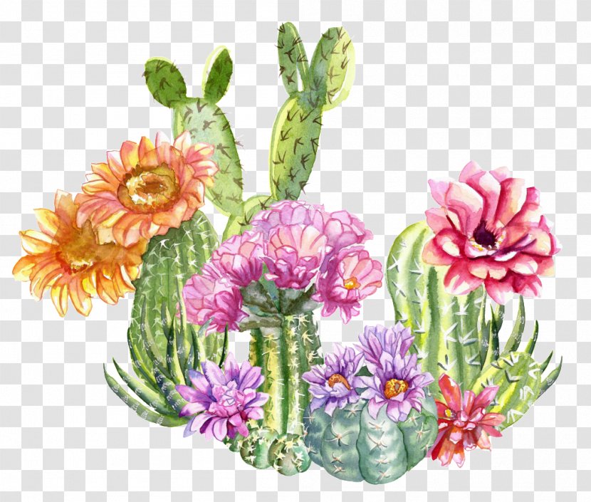 Cactos/Cactus Floral Design Paper Succulent Plant - Herbaceous - Bloesem Cartoon Transparent PNG