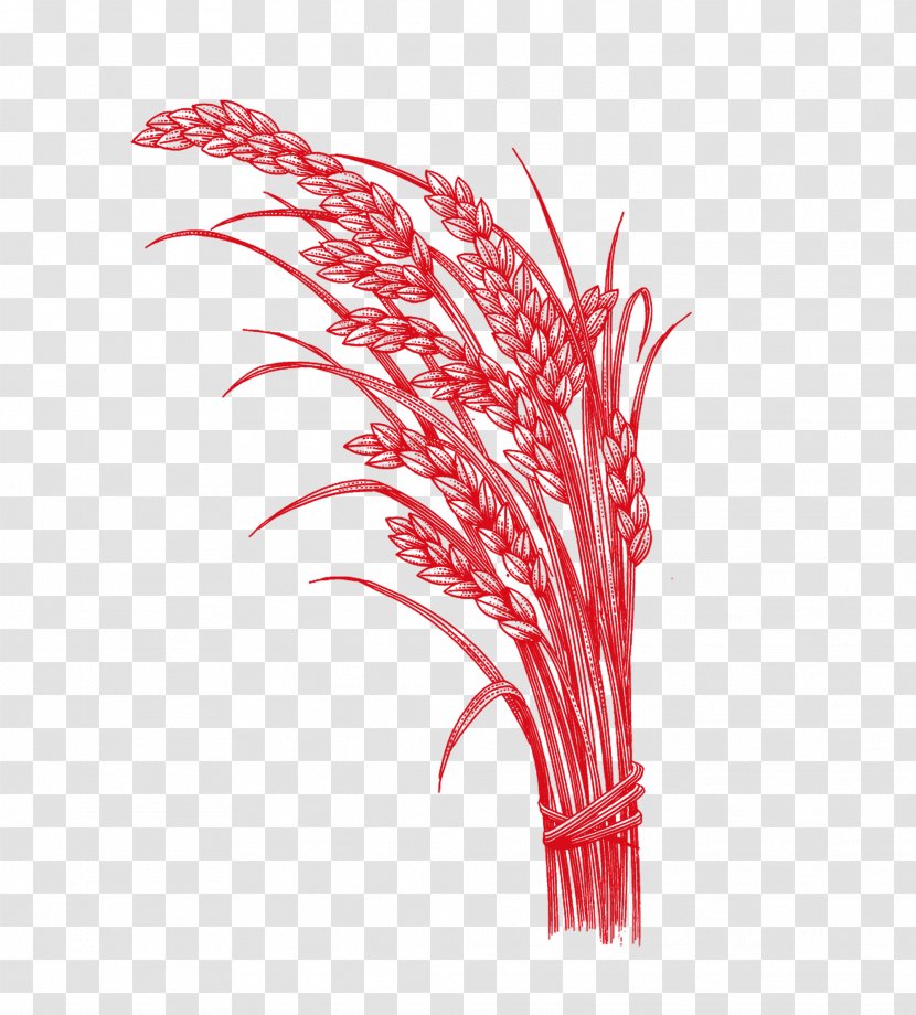 Rice Five Grains U6742u8c37 - Wing - Red Transparent PNG