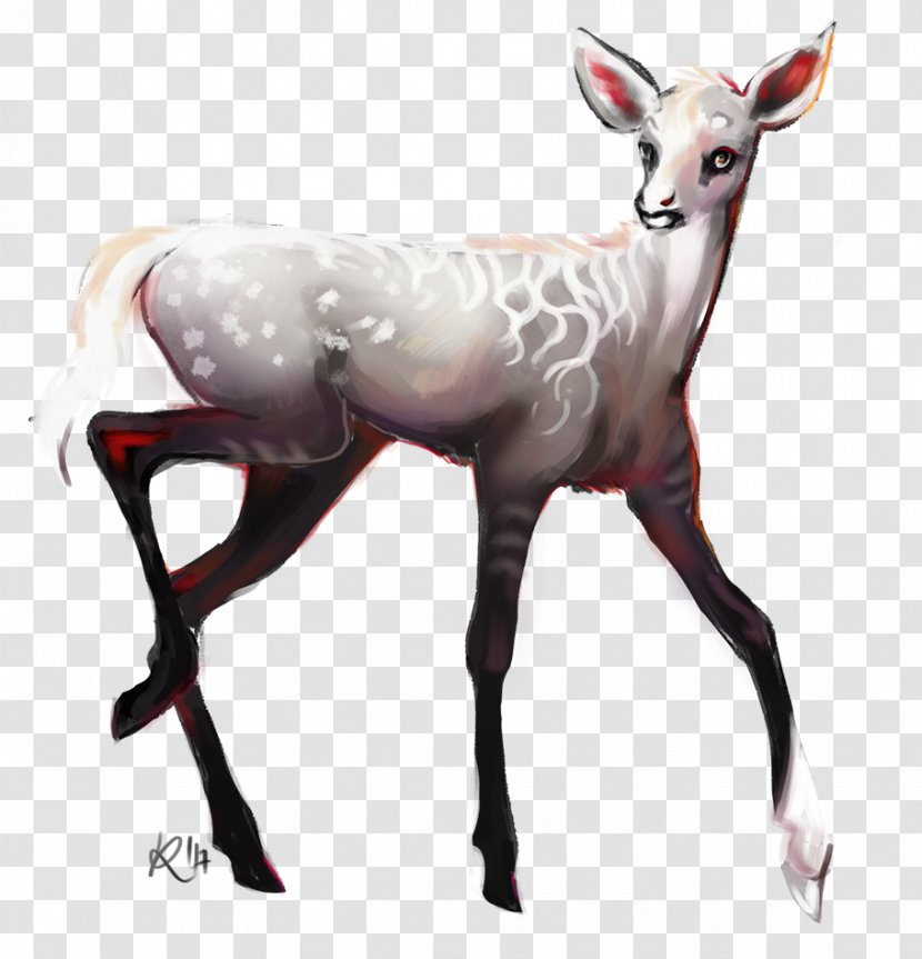Reindeer Antelope Terrestrial Animal Wildlife Transparent PNG