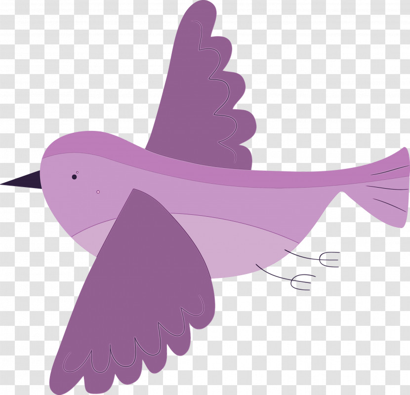 Feather Transparent PNG