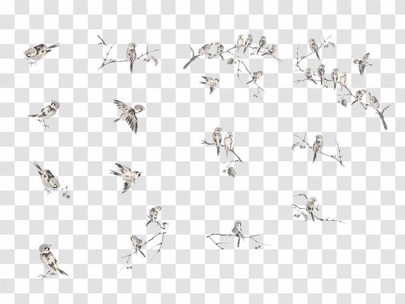 House Sparrow Eurasian Tree Bird Flight - Old World Sparrows - Set Transparent PNG