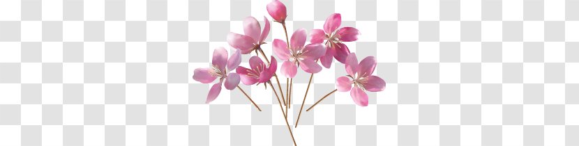 Wedding Invitation Flower Greeting Card Clip Art - Spring - Flower,Flower Elements Transparent PNG