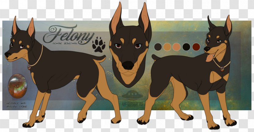 Ormskirk Terrier Miniature Pinscher Manchester Australian Kelpie Guard Dog - Breed - Dobermann Transparent PNG