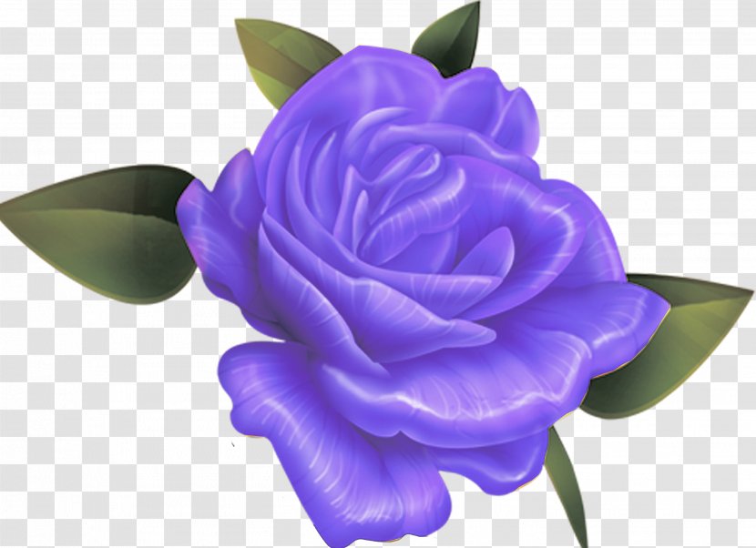 Beach Rose Rosaceae Flower Violet Blue - Green - Gazania Transparent PNG