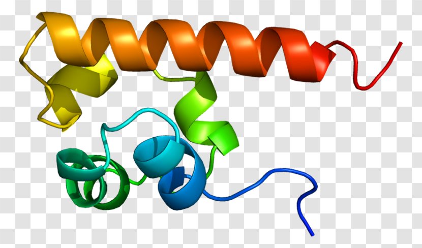 EPH Receptor A4 Ephrin Tyrosine Kinase - Eph - Cytokine Transparent PNG