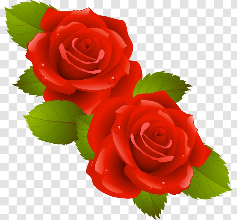 Computer Network Clip Art - Rose Order - Flores Rojas Transparent PNG