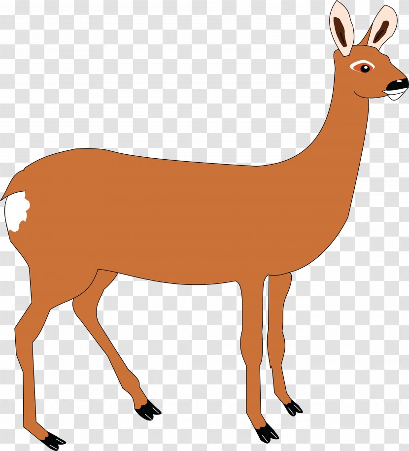 Deer Clip Art - Tail - Flying Transparent PNG