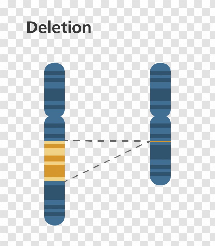 Chromosome Abnormality Deletion DiGeorge Syndrome Mutation - Chromosomal Inversion - Genetic Material Transparent PNG