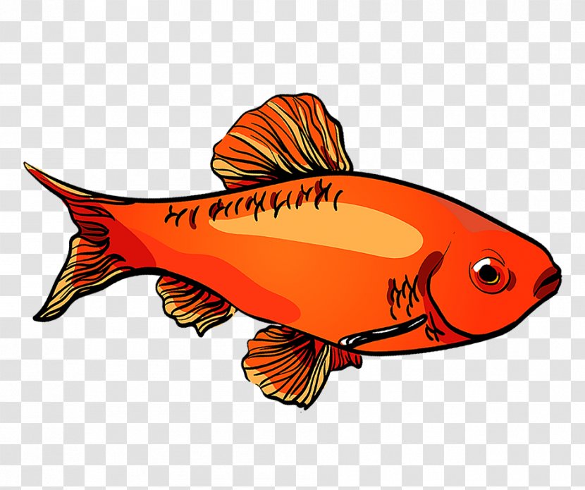 Fish Cartoon - Red Snapper - Cyprinidae Goldfish Transparent PNG