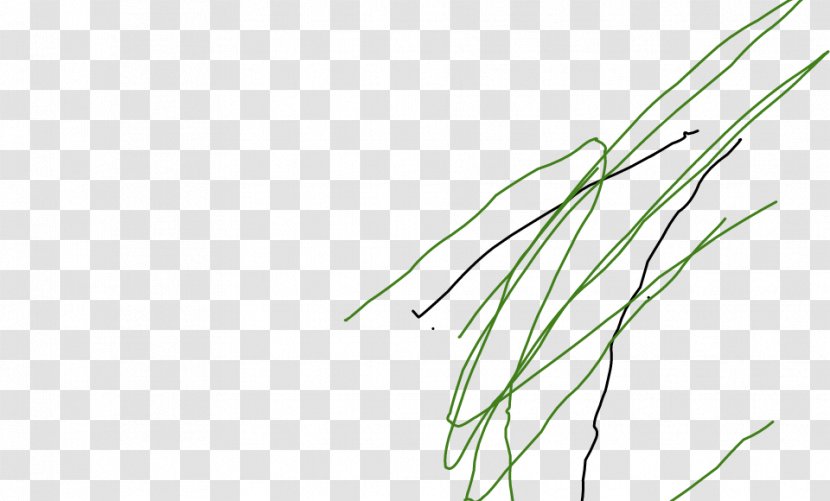 Grasses Plant Stem Leaf Line Art Angle Transparent PNG