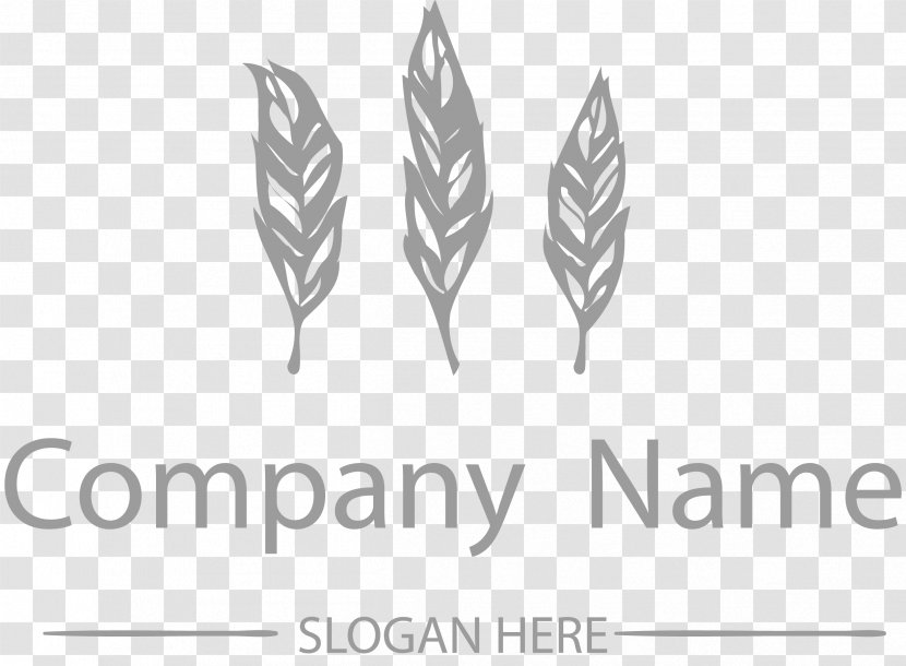 Logo Feather - Brand - Shape Company LOGO Transparent PNG