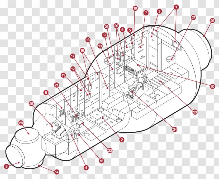 Drawing Line - Area - Design Transparent PNG