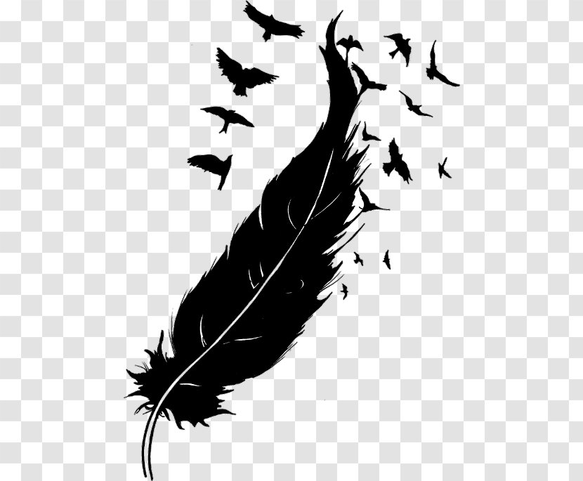 Bird Goose Feather Drawing - Quill Transparent PNG