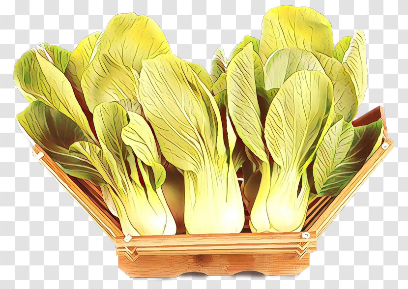 Flower Plant Chinese Cabbage Vegetable Petal Transparent PNG