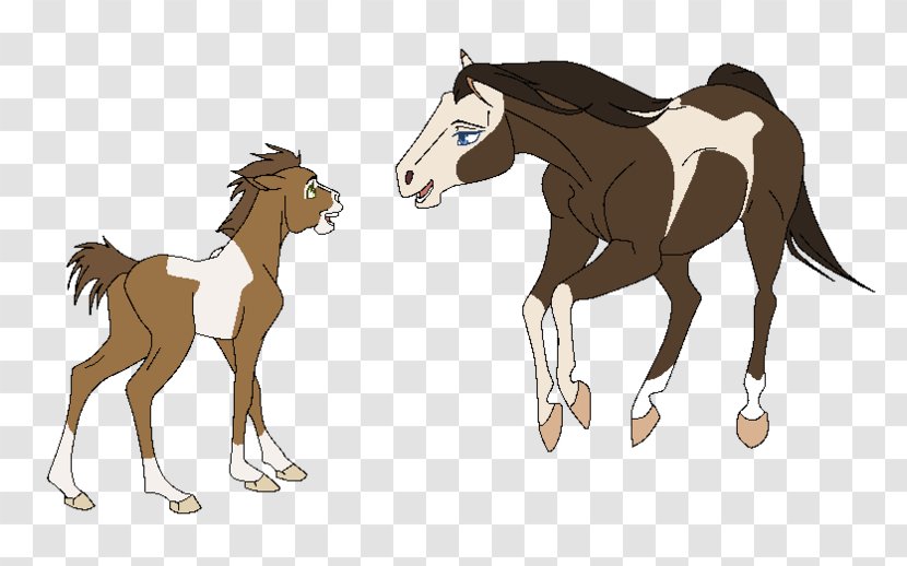 Mustang Foal Mare Pony Colt - Mammal Transparent PNG