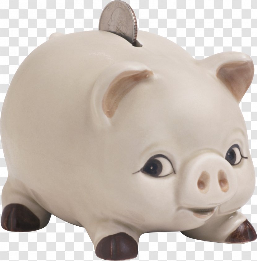 Domestic Pig Piggy Bank Clip Art - Animal Figure Transparent PNG