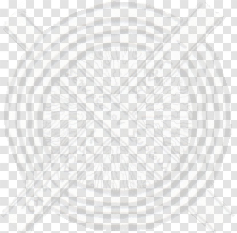 Paper Line Art Circle White Drawing Transparent PNG