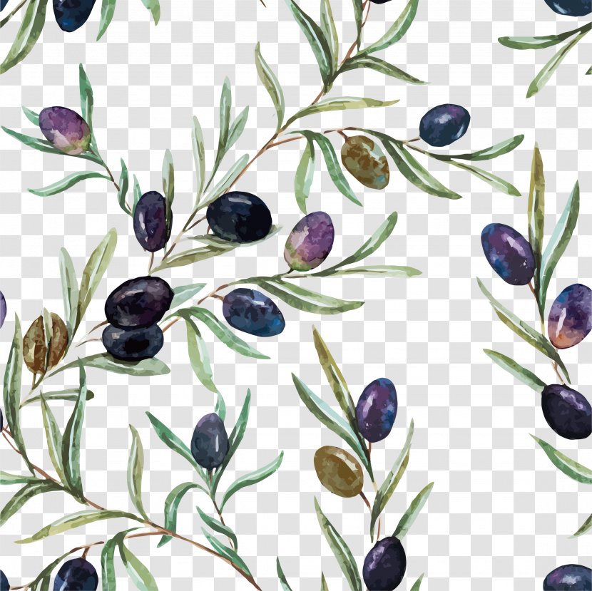 Watercolor Painting Olive Oil Illustration - Branch - Flower Vector Transparent PNG