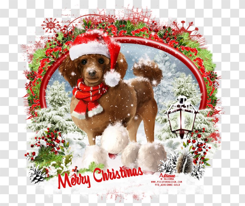 Christmas Ornament Snow Globes Dog Breed Puppy - Love Transparent PNG