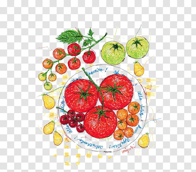 Tomato Watercolor Painting Illustrator Illustration - Vegetable Transparent PNG
