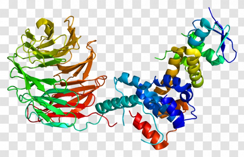 FBXW7 F-box Protein Parkin Ubiquitin Ligase - Gene Transparent PNG