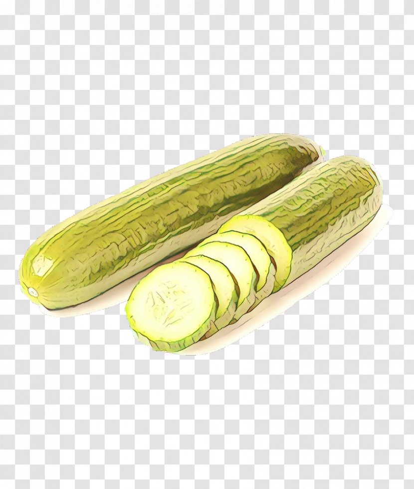 Summer Plant - Zucchini - Luffa Armenian Cucumber Transparent PNG