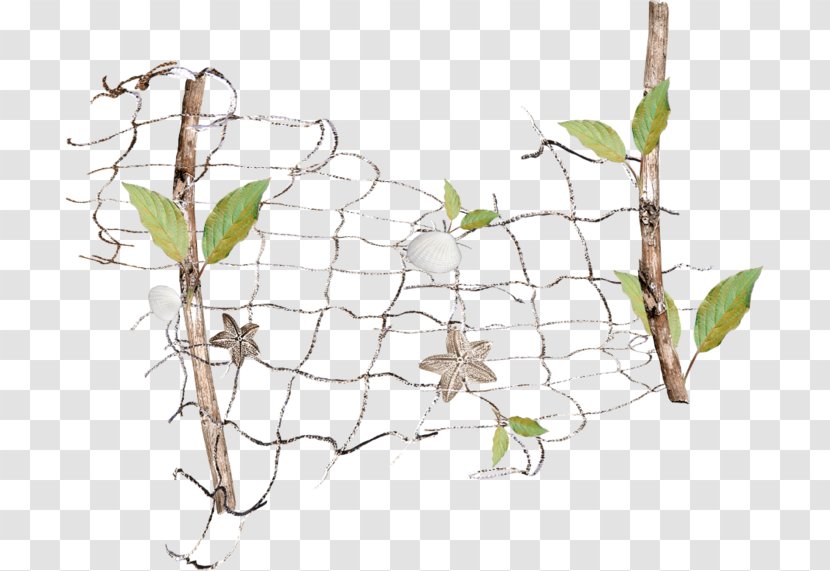 Twig /m/02csf Drawing Plant Stem Leaf - Fishingnet Transparent PNG