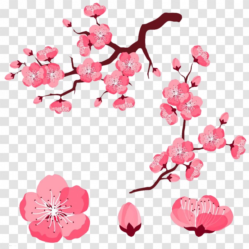 Cherry Blossom Adobe Illustrator Clip Art - Branch - Pink Cartoon Cute Peach Transparent PNG