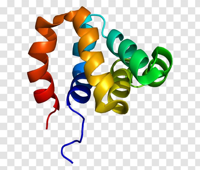NOD1 Mutation Wikipedia NOD2 Protein - Receptor - Persian Transparent PNG