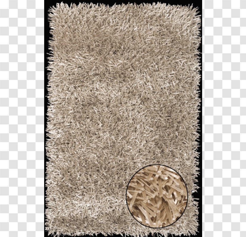 Champagne Carpet Fur Foreign Accents Fettuccine Transparent PNG