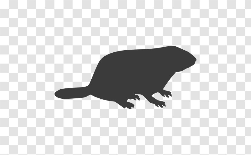 Beaver Cartoon - Tail - Claw Transparent PNG