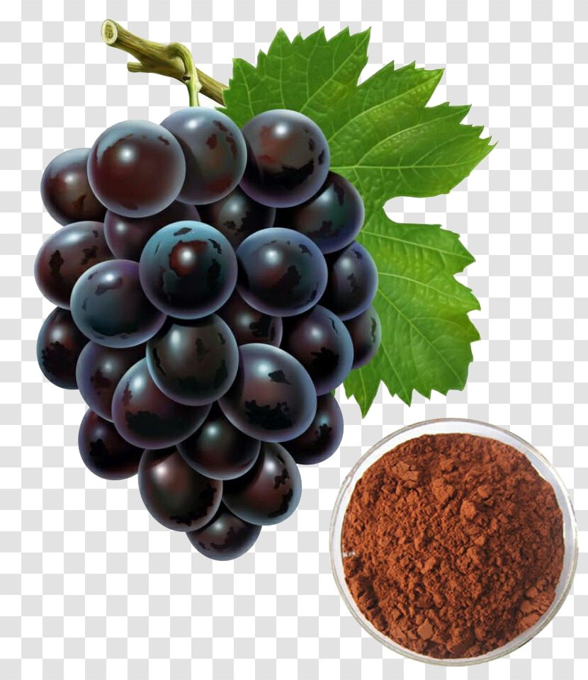 Grape Seed Extract Oil - Superfood Transparent PNG