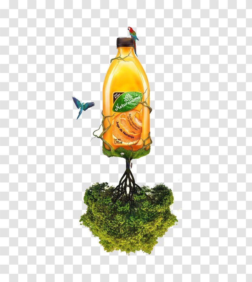 Graphic Design Behance - Long On The Branch Of Fruit Juice Transparent PNG