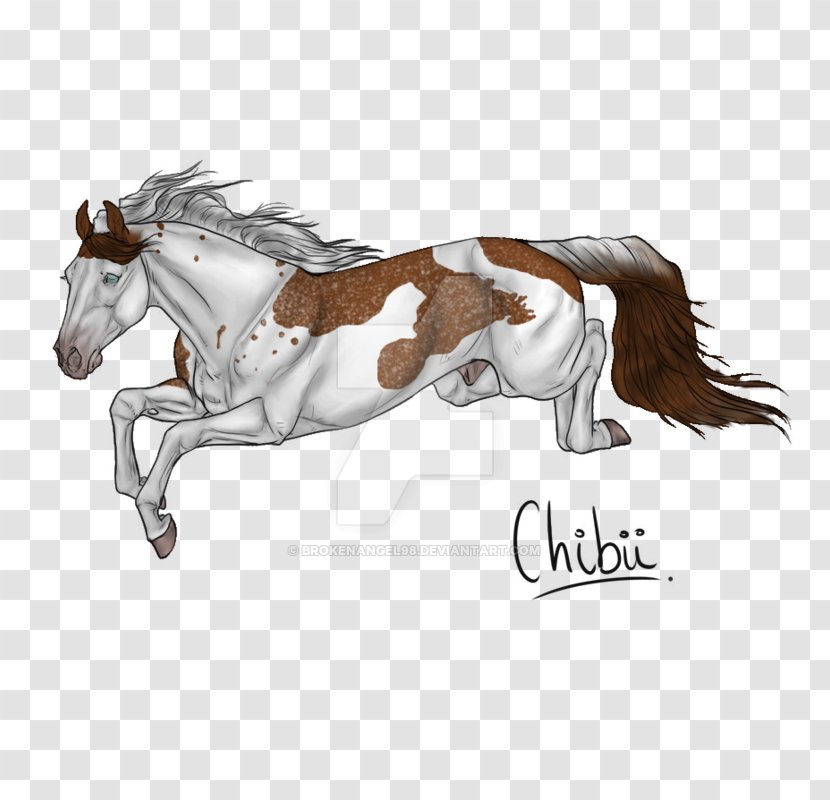 Mane Mustang Foal Stallion Pony - Wild Child Transparent PNG