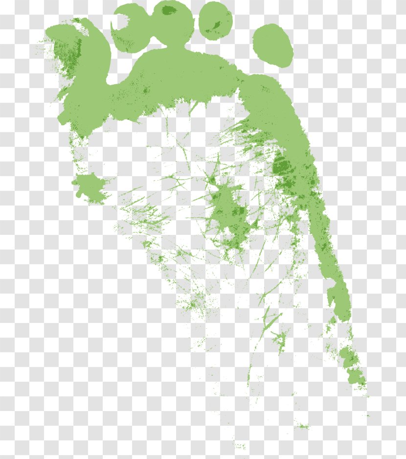 Footprint - Leaf - Green Footprints Transparent PNG