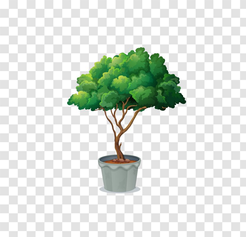 Clip Art Vector Graphics Borders And Frames Stock Illustration Royalty-free - Bonsai - Large Cartoon Tree Transparent PNG