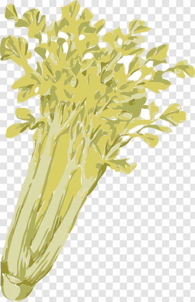 Celery Clip Art - Plant Stem Transparent PNG