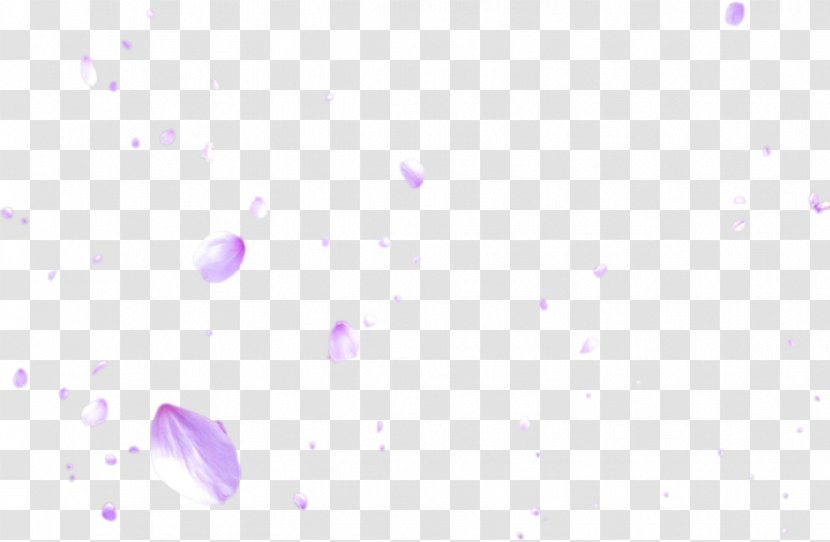 Lavender Blue Lilac Violet Magenta - Cherry Blossom Petals Transparent PNG