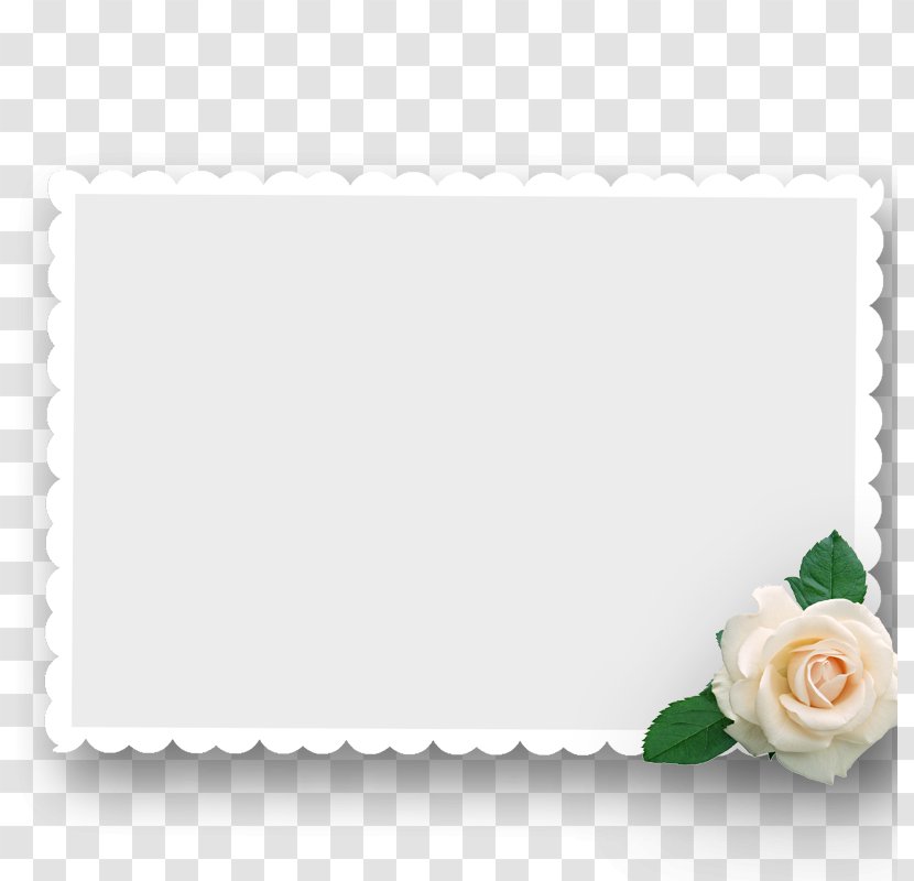 Beach Rose Picture Frame Postage Stamp - Green - Box Transparent PNG