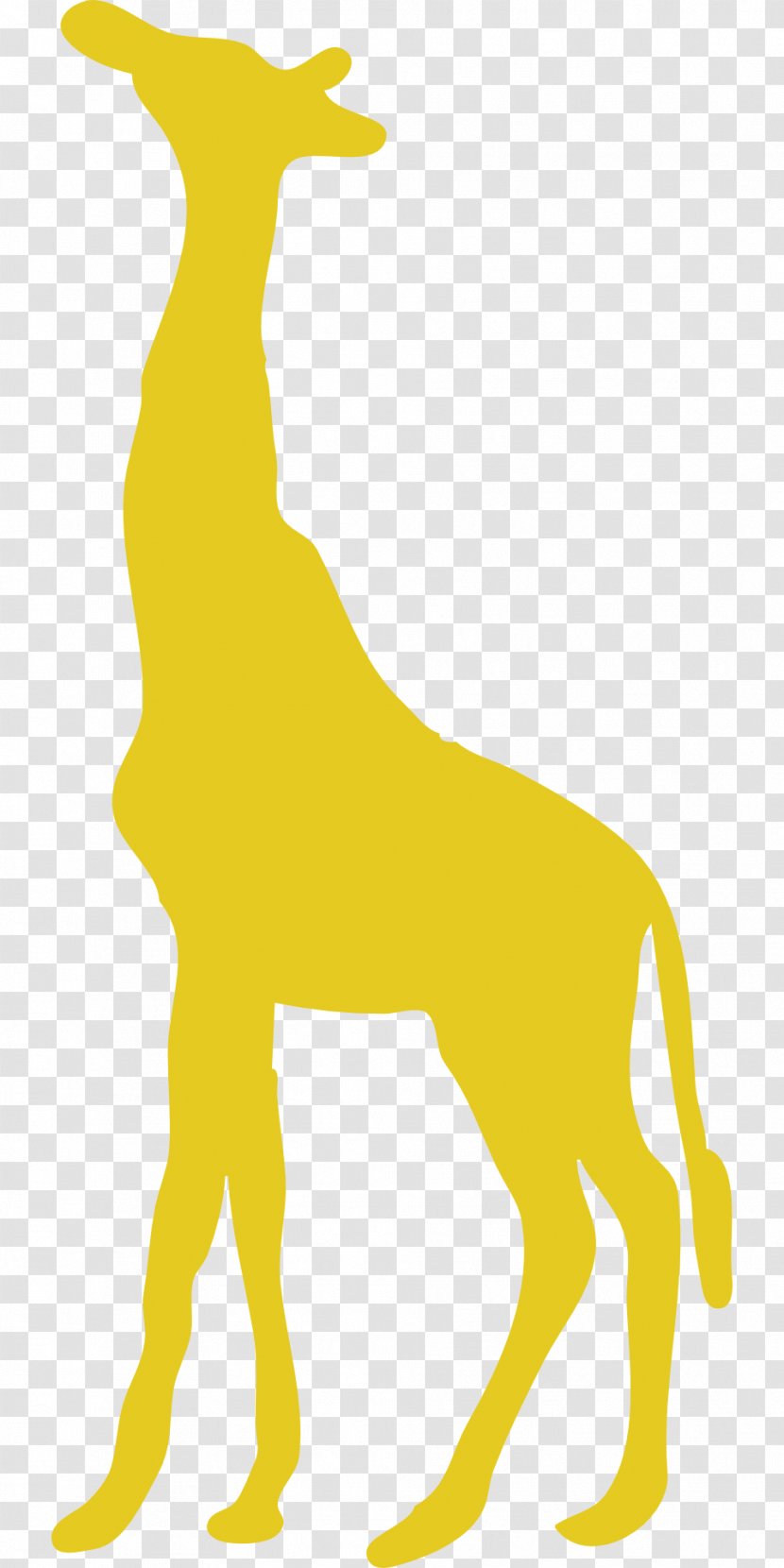 West African Giraffe Family Silhouette Clip Art - Vertebrate Transparent PNG