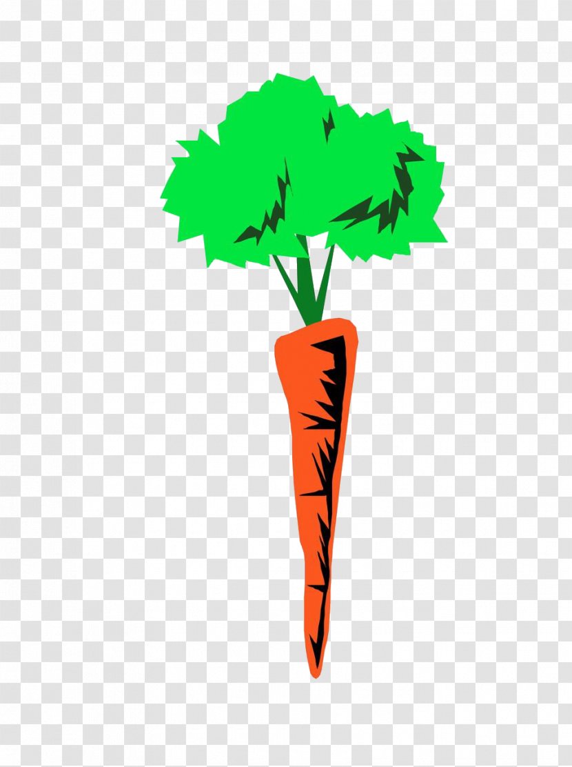 Autotroph Photosynthesis Organism Plant Heterotroph - Text - Carrot Transparent PNG