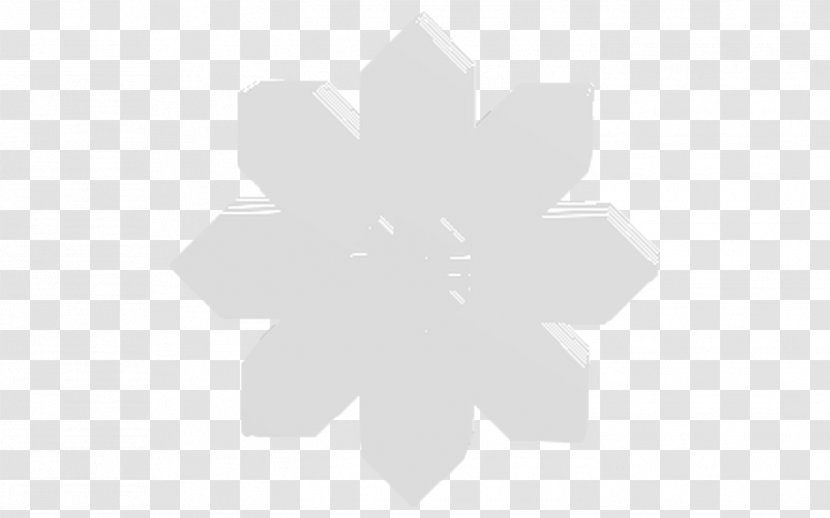 White - Black And - Snow Flake Transparent PNG