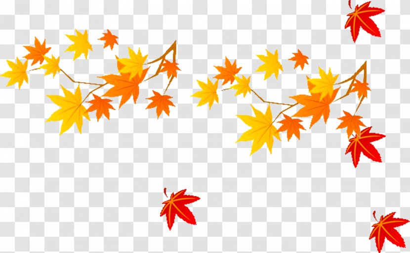 Maple Leaf Autumn Transparent PNG