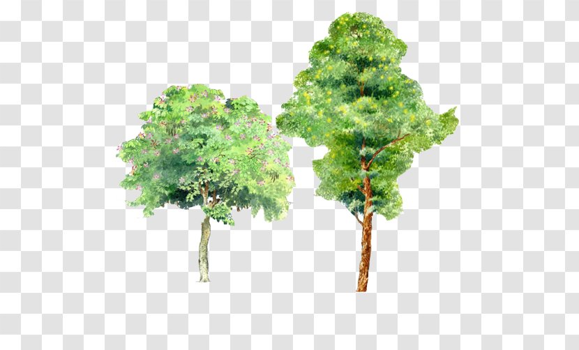 Trees Watercolor Picture Material - Computer Aided Design - Woody Plant Transparent PNG